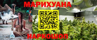 прущие грибы Славгород
