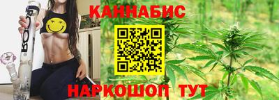 Альфа ПВП Сланцы